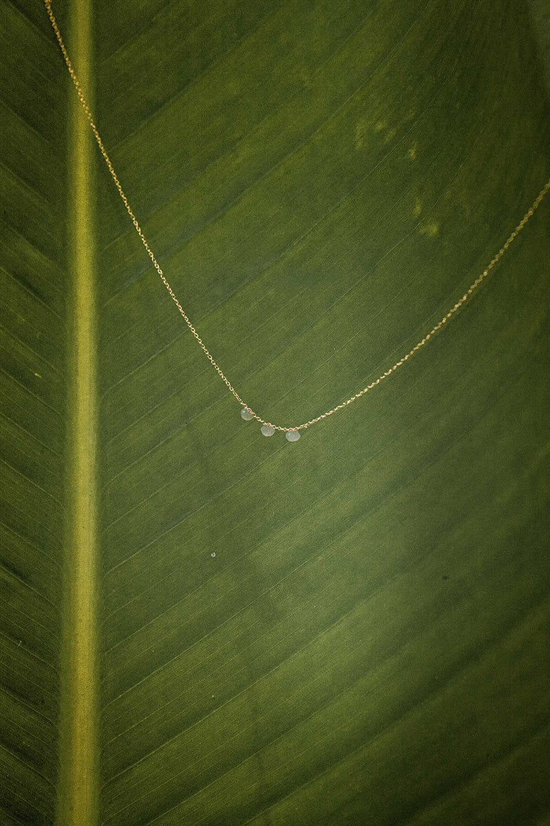 Jouta 14K Gold Inlay Black Pearl Necklace